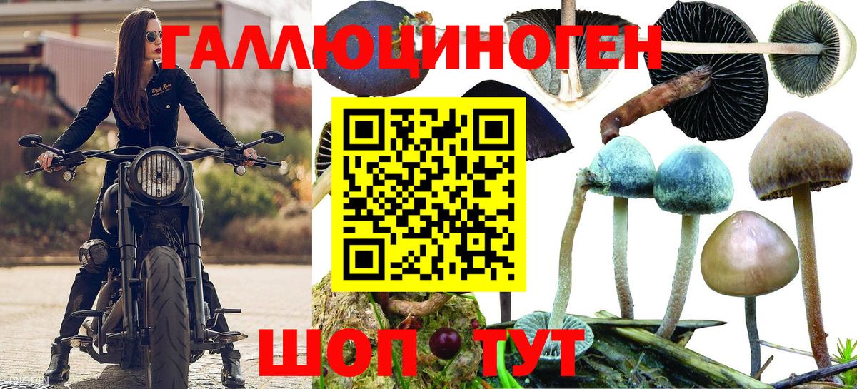 Псилоцибиновые грибы GOLDEN TEACHER Ливны