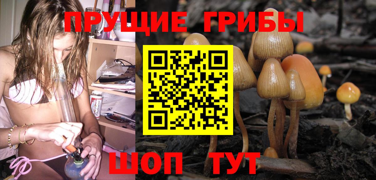 Галлюциногенные грибы мухоморы  дарнет шоп  Ливны  Вход с VPN 